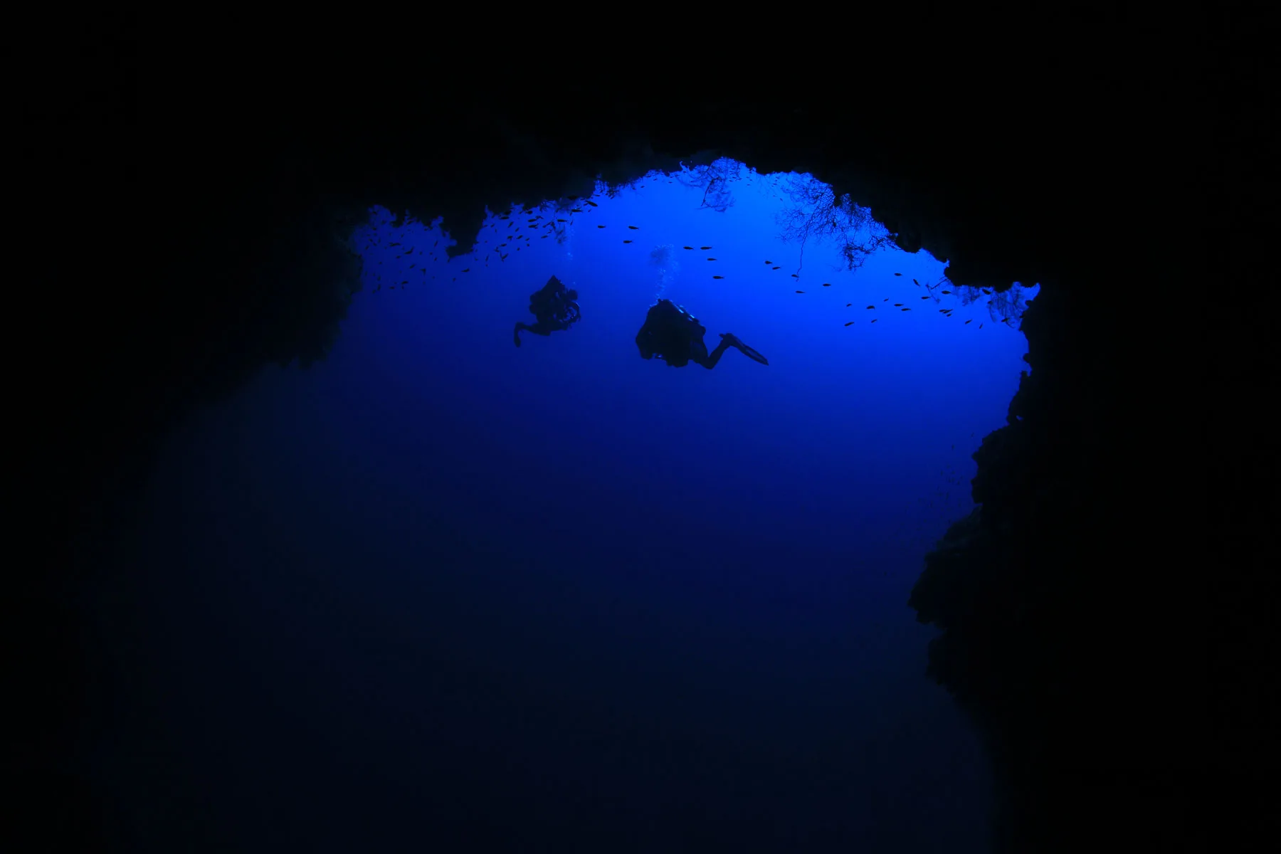 Blue Hole, Abu Talha & SS Thistlegorm