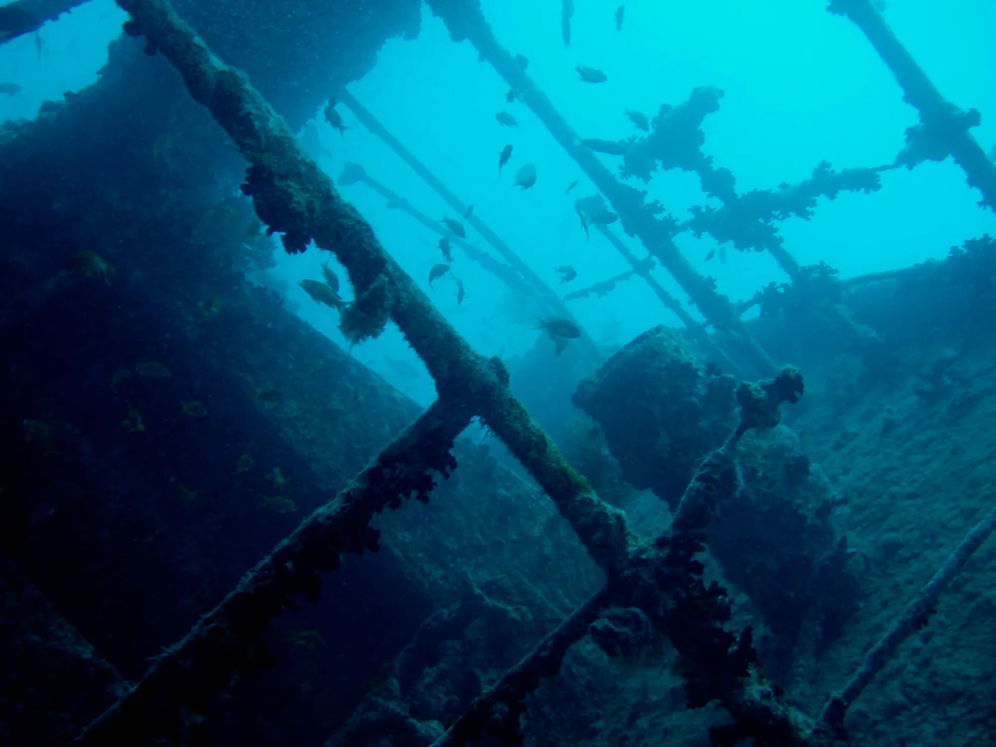 Thistlegorm aft section